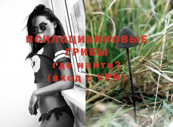 стафф Новозыбков