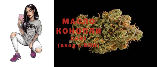 стафф Новозыбков