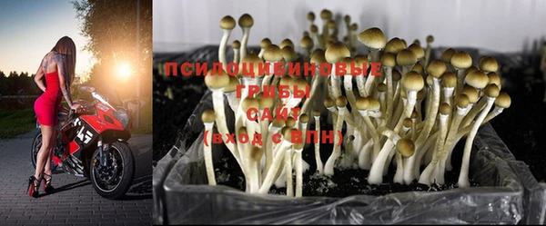 марихуана Новокубанск