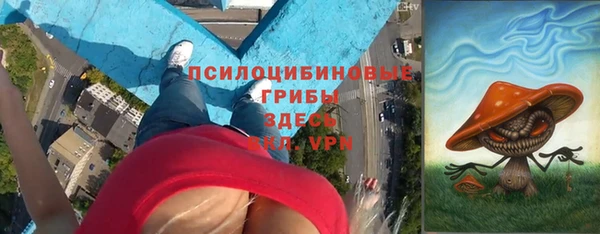 таблы Няндома