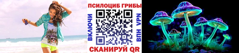 Галлюциногенные грибы Psilocybe  кракен рабочий сайт  Грязи 