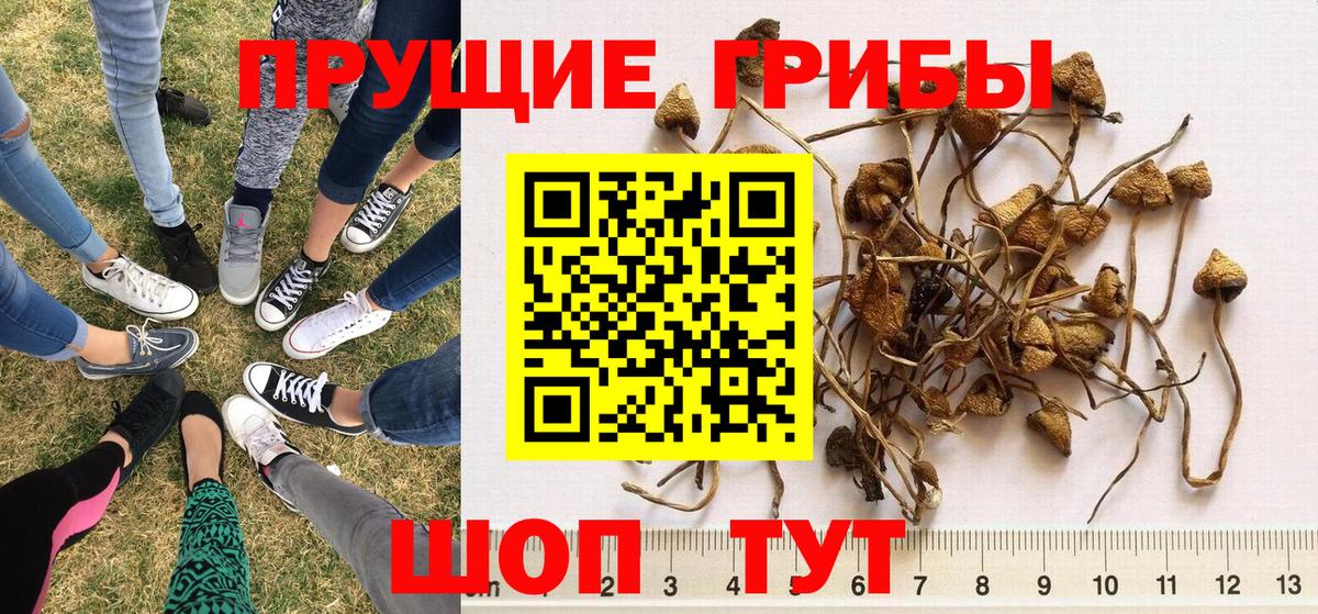COCAIN  АМФ   Канабис  Cocaine  ГАШ  Вейп ТГК  Грязи  Вход с VPN  Меф кристаллы  МДМА 