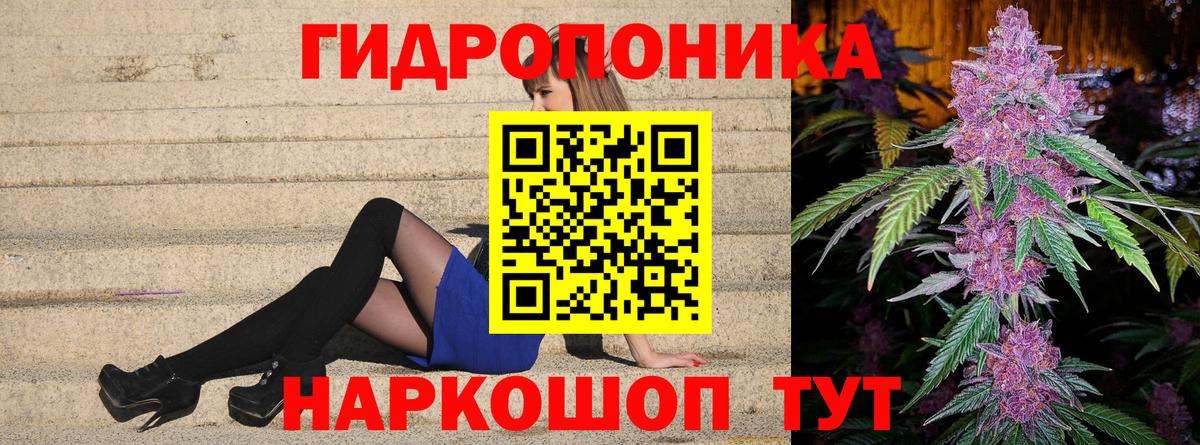 Псилоцибиновые грибы Грязи